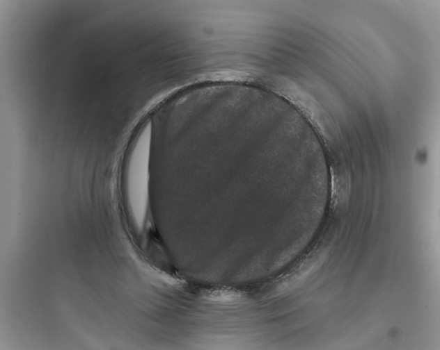 X0000097630348200803211814