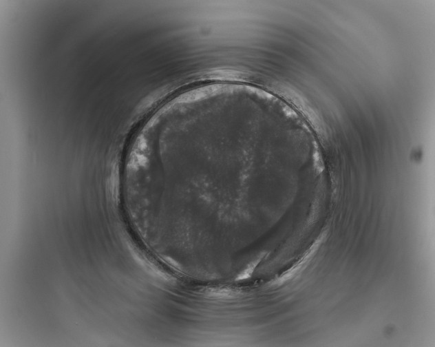 X0000097630349200803211814