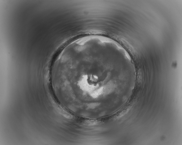 X0000097630351200803211815