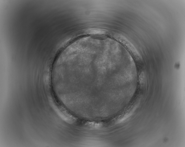 X0000097630352200803211815