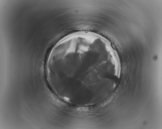 X0000097630353200803211815