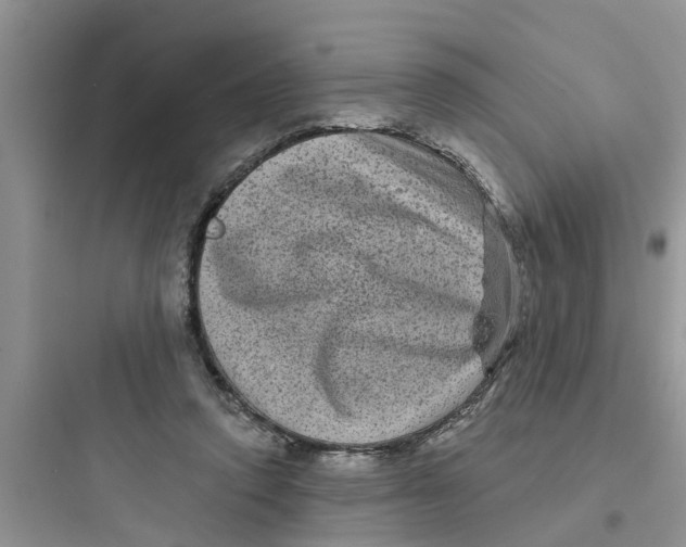 X0000097630354200803211815