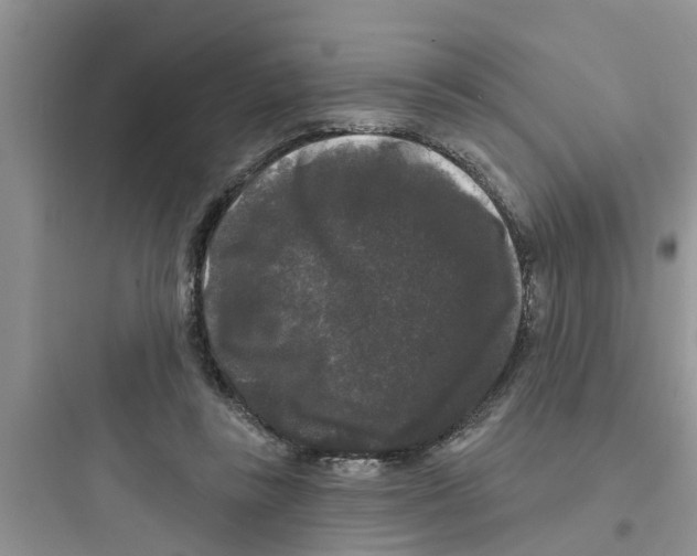 X0000097630355200803211815