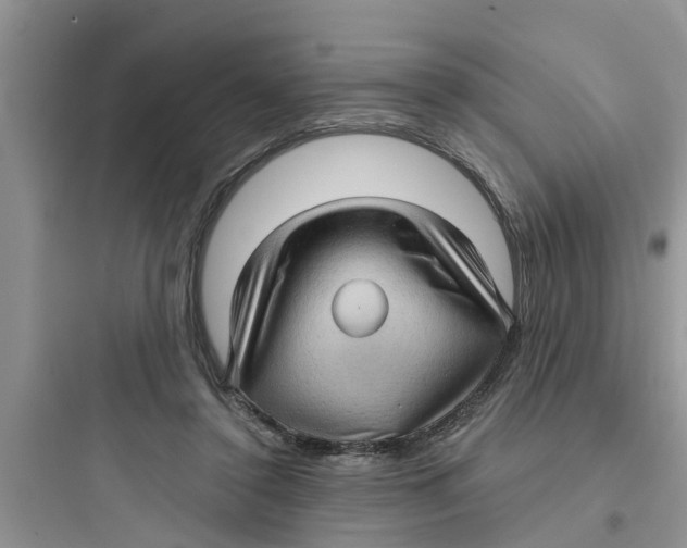 X0000097630356200803211815