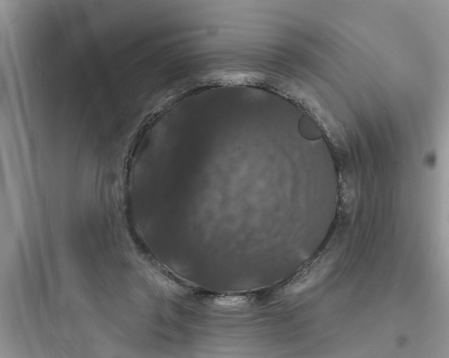 X0000097630357200803211815