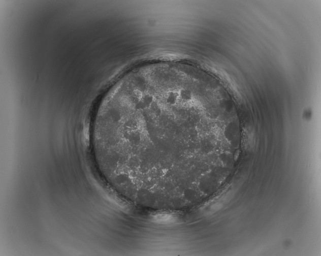 X0000097630358200803211815