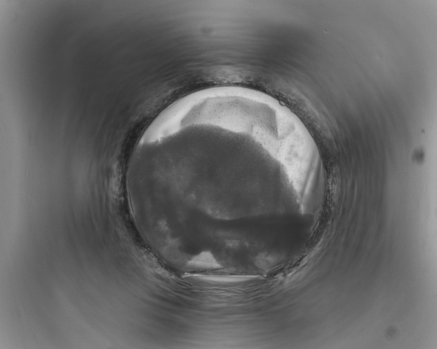 X0000097630359200803211815