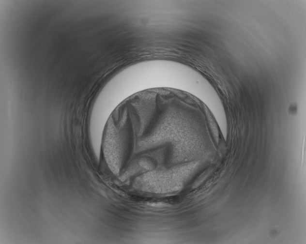 X0000097630360200803211815