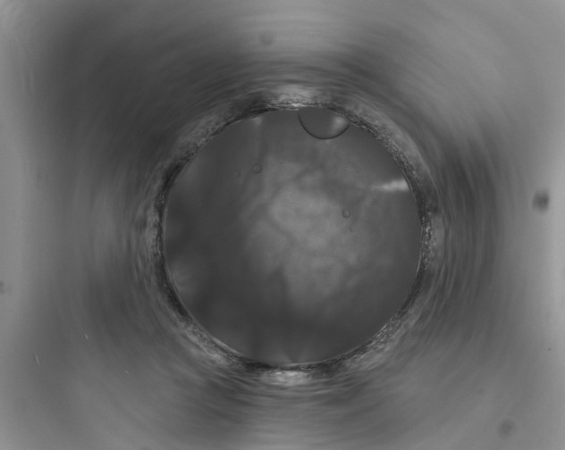 X0000097630361200803211815