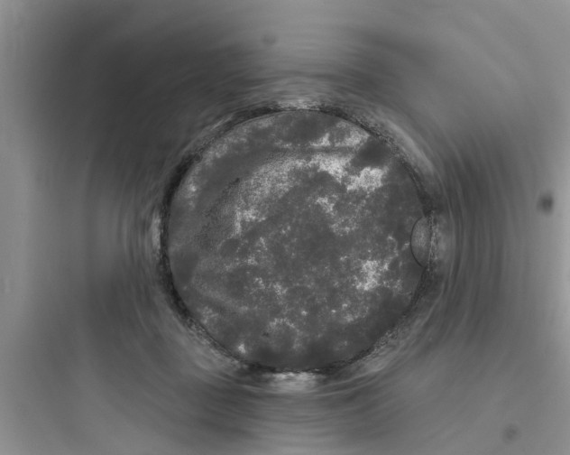 X0000097630363200803211815