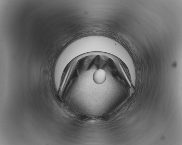 X0000097630364200803211815