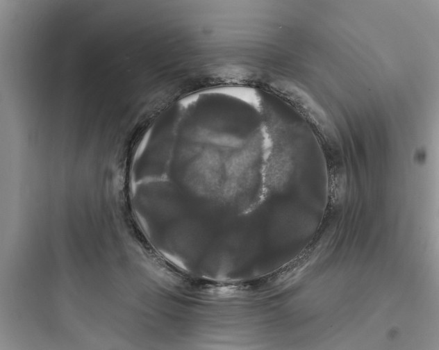 X0000097630365200803211815