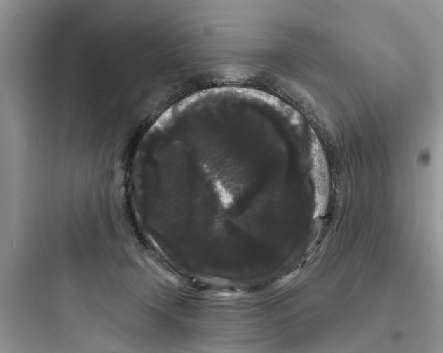 X0000097630366200803211815