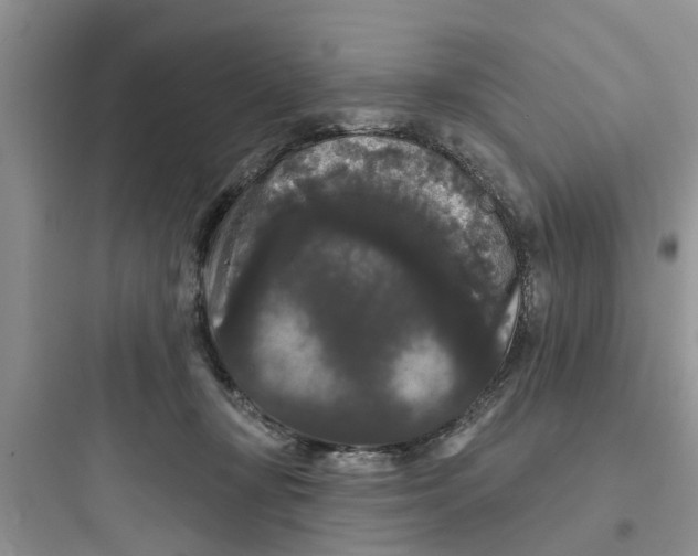 X0000097630367200803211815