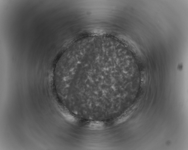 X0000097630369200803211815