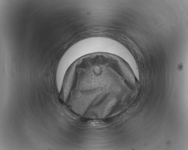 X0000097630372200803211815