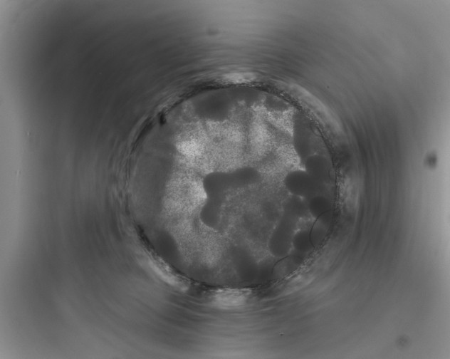 X0000097630373200803211815