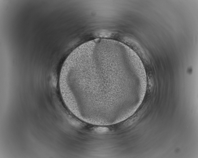 X0000097630374200803211815