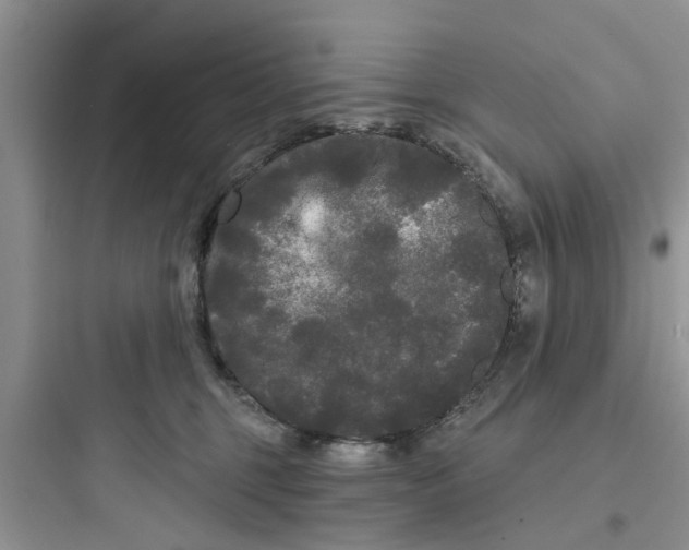 X0000097630375200803211815