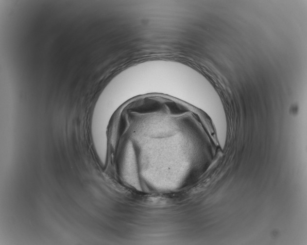 X0000097630376200803211815