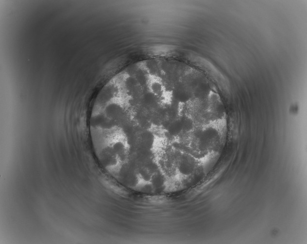 X0000097630377200803211815