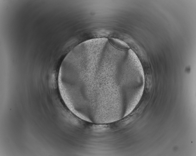 X0000097630378200803211815