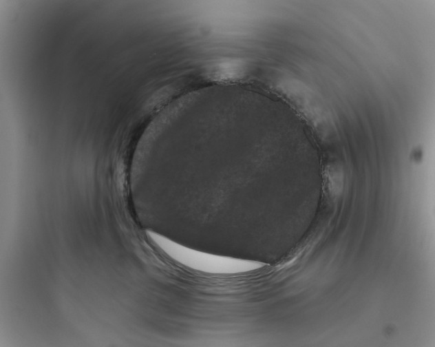 X0000097630380200803211815