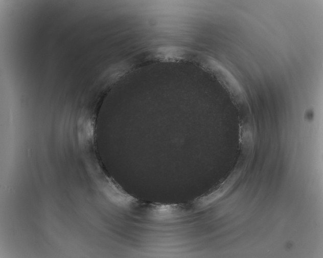 X0000097630382200803211815