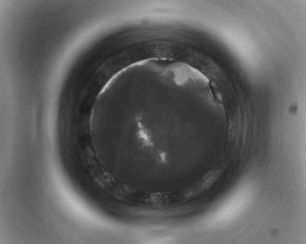 X0000097630383200803211815