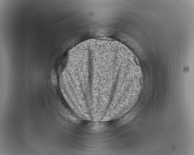 X0000097630384200803211815