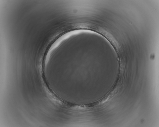 X0000097630386200803211814