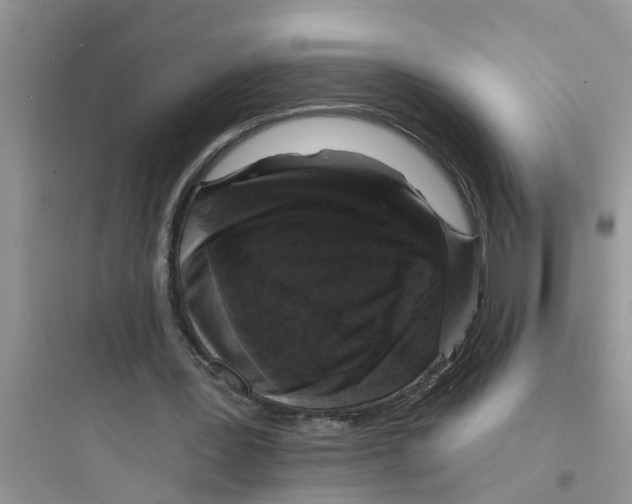 X0000097630387200803211814