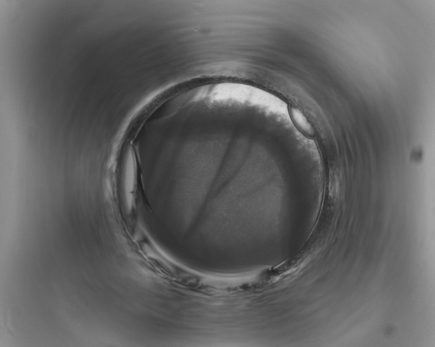 X0000097630388200803211814