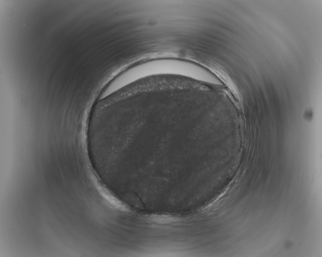 X0000097630389200803211814