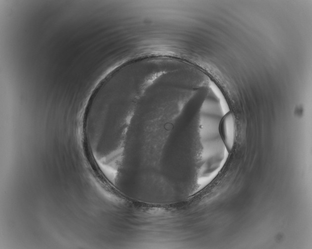 X0000097630390200803211814