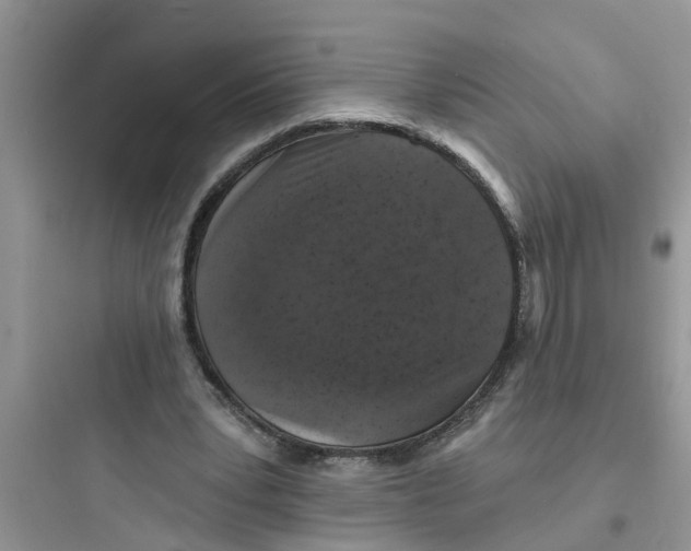 X0000097630391200803211814