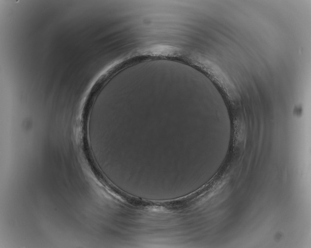 X0000097630392200803211814