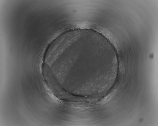 X0000097630393200803211814