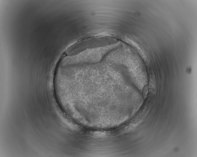 X0000097630394200803211814