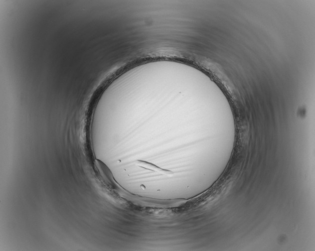 X0000097630395200803211814