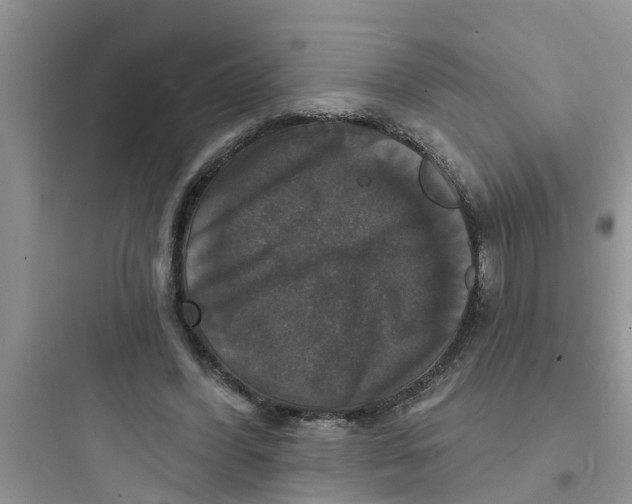 X0000097630396200803211814