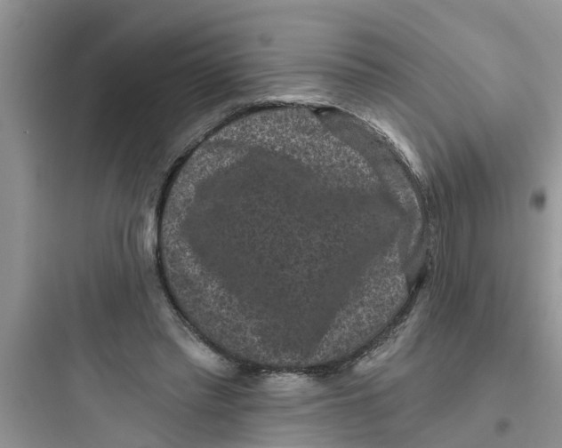 X0000097630397200803211814