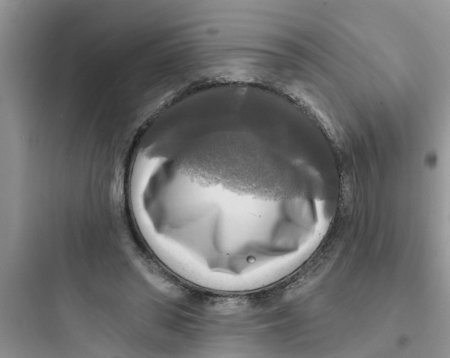 X0000097630398200803211814