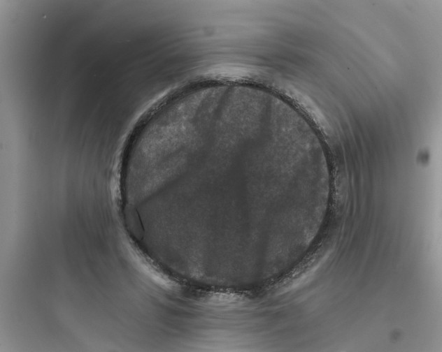 X0000097630399200803211814