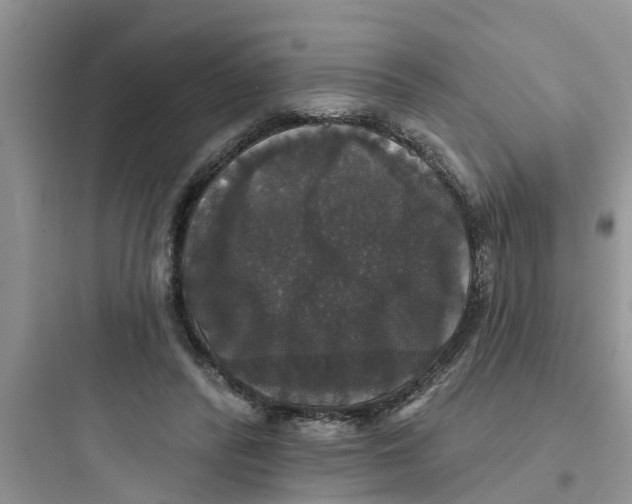 X0000097630400200803211814