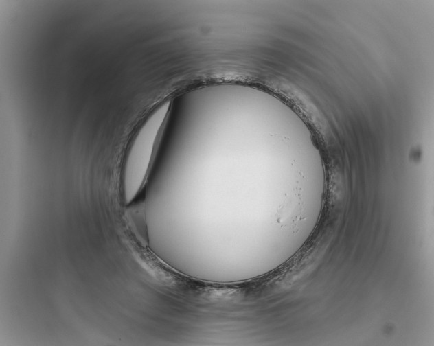 X0000097630401200803211814