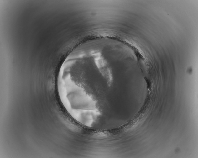 X0000097630402200803211814