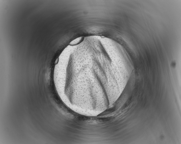 X0000097630404200803211814