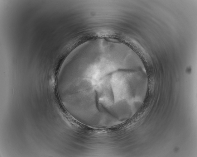 X0000097630405200803211814