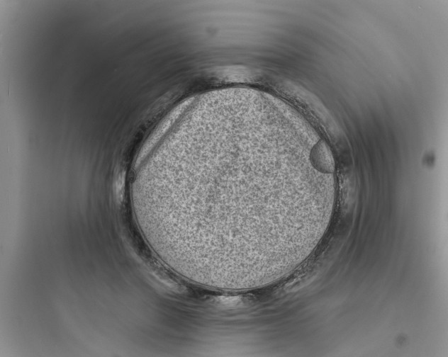 X0000097630406200803211814